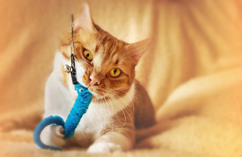 Best Indoor Toys For Large Cats