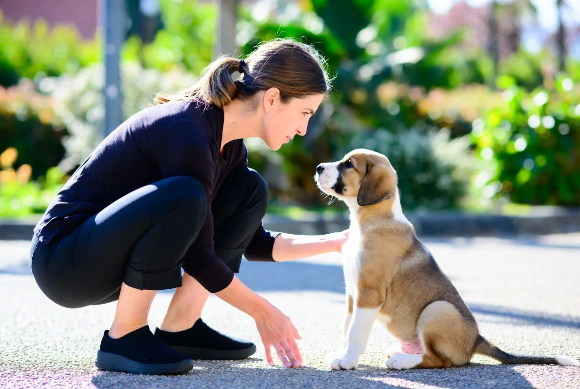 How to Stop a Puppy From Eating Poop: Home Remedies That Actually Work